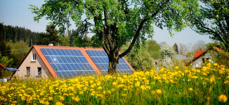 investir-em-energia-solar-energia-sustentavel investir-em-energia-solar-energia-sustentavel