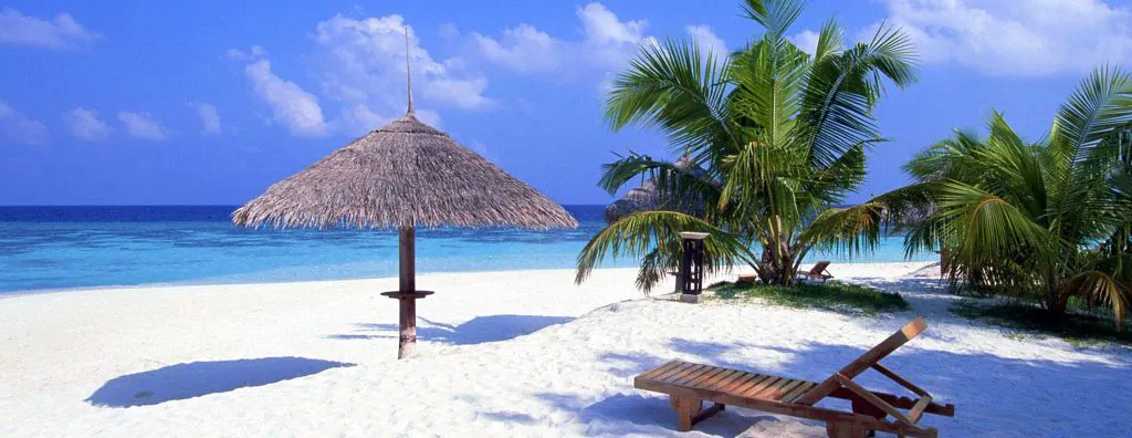 praia-brasileira-coqueiros