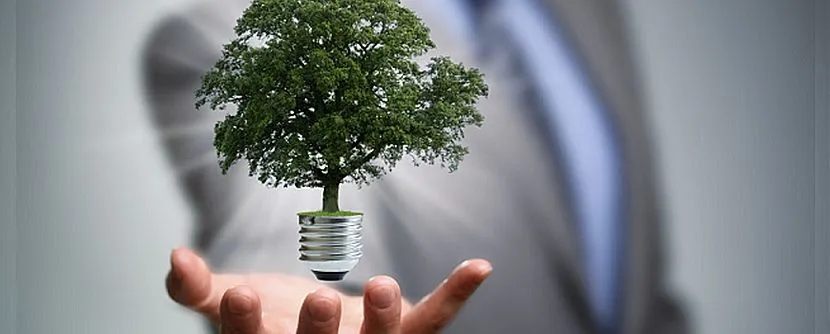 Conheça as 04 maiores empresas sustentáveis que investiram em energia solar!